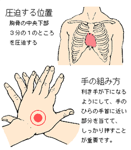 やり方 心臓 マッサージ