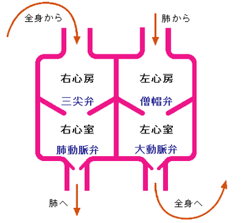 が 弁 悪い の 交通