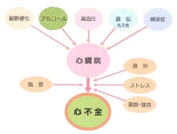 病態 関連 図 心不全 心不全 病態