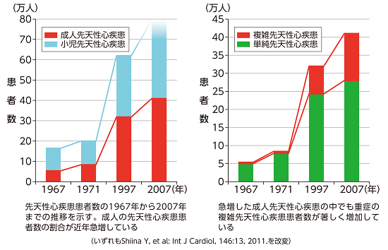 先天 性 心 疾患