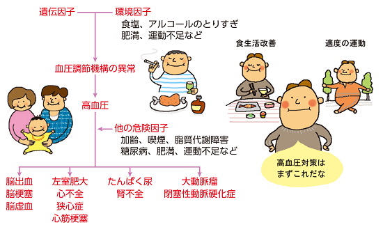 1 循環器病の治療薬 特徴と注意点 循環器病全般 循環器病あれこれ 国立循環器病研究センター 循環器病情報サービス