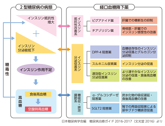 1 循環器病の治療薬 特徴と注意点 循環器病全般 循環器病あれこれ 国立循環器病研究センター 循環器病情報サービス