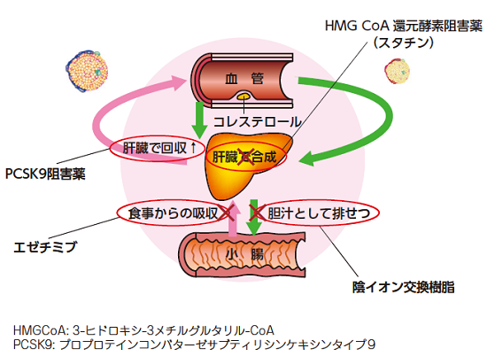 痩せる ロスバスタチン