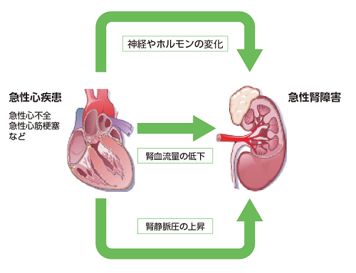 き ょ けつ が 性 心不全 と は