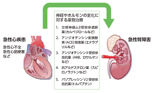 うっ血 性 心 疾患 と は