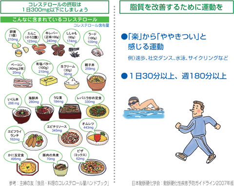 代謝 改善 脂質 異常