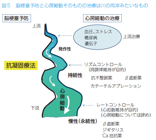 心房 細 動 症状