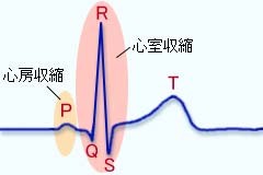 心電図について