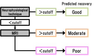 Proposed algorithm for prognosis prediction for stroke