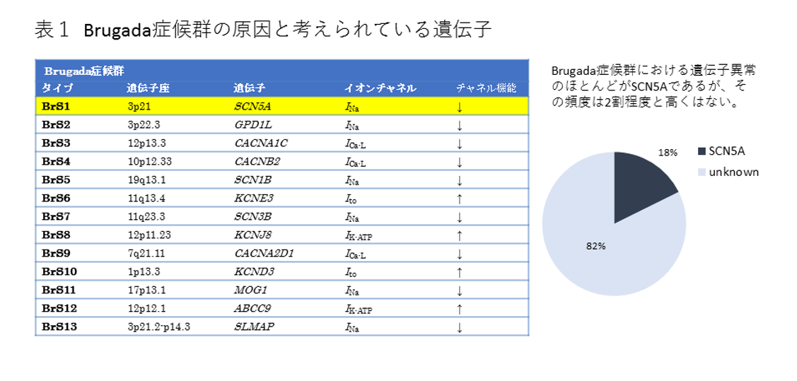 表1. Brugada症候群の原因と考えられている遺伝子