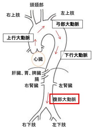 みぞおち 右側 痛い