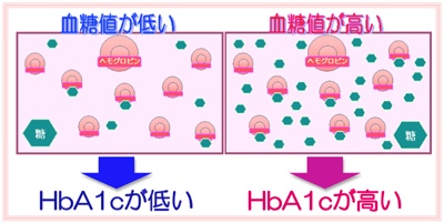 hba1cが高い・低い