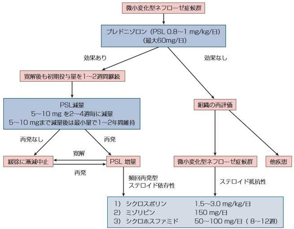 ネフローゼ 症候群 と は