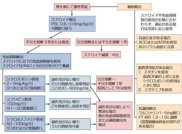 症候群 基準 ネフローゼ 診断