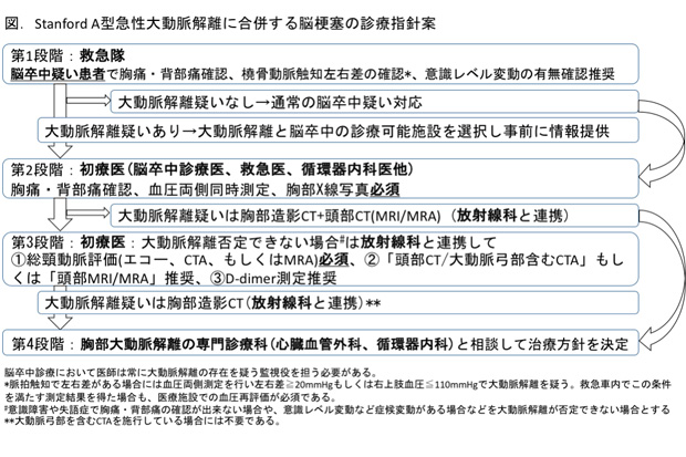 脳梗塞患者の中に急性大動脈解離患者が隠れている 適切な診断を行うための指針を提案 プレスリリース 広報活動 国立循環器病研究センター