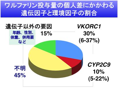 3-2)ワルファリン投与量の個人差にかかわる遺伝因子と環境因子の割合