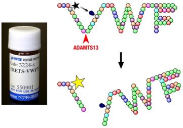 1-1-2）図：消光性蛍光基質FRETS-VWF73を利用したADAMTS13活性測定
