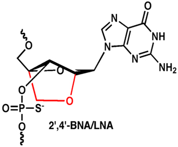 2',4'-BNA/LNAの構造(大阪大学大学院薬学系研究科 小比賀聡先生との共同研究)