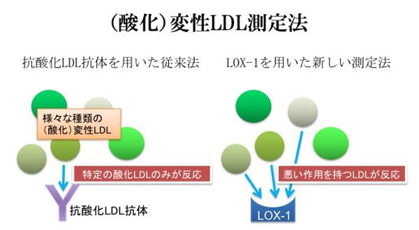 (酸化)変性LDL測定法