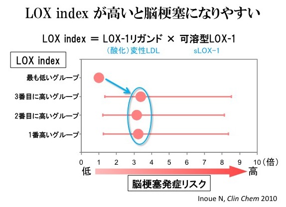 LOX index が高いと脳梗塞になりやすい