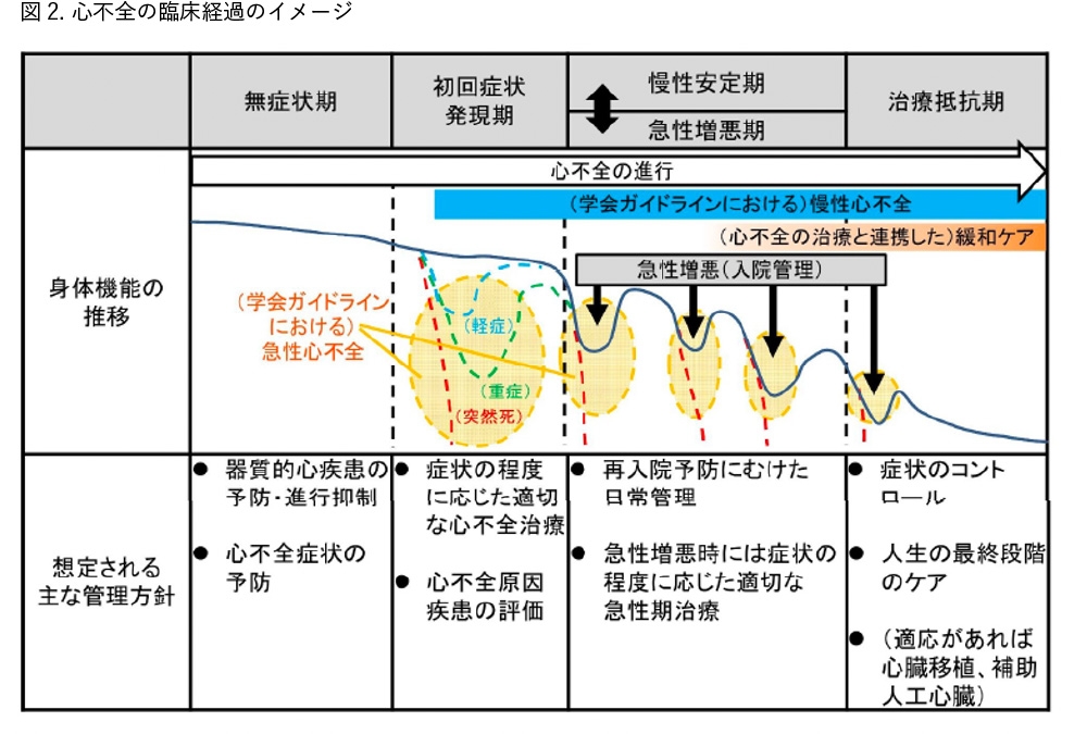 循環器疾患　最新の治療2020-2021