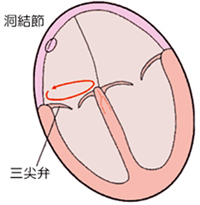 図