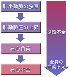 PPHの病態の進行のチャート