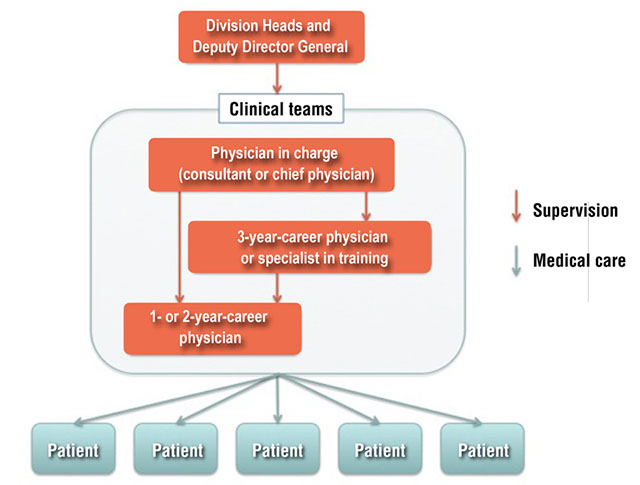Figure Clinical teams