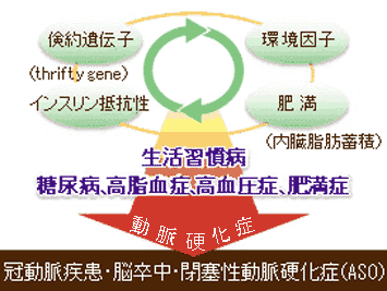 図：糖尿病と合併症