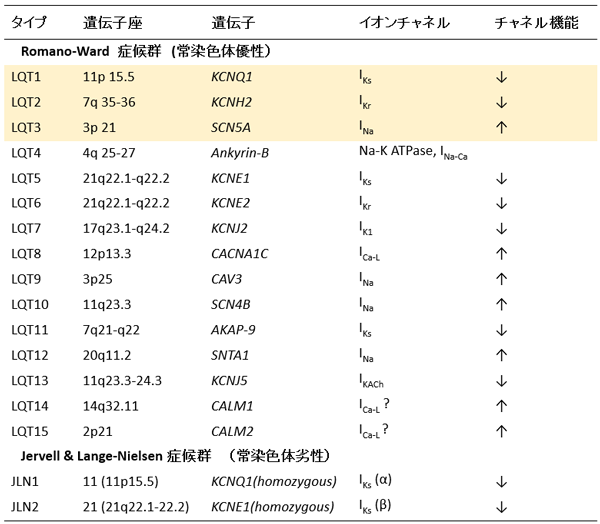 表１：先天性QT延長症候群の原因遺伝子とチャネル機能