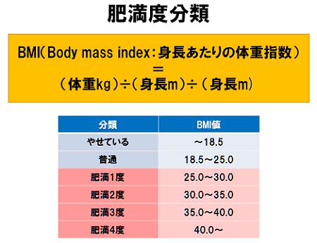 肥満度分類