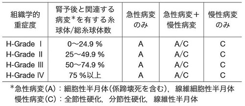 組織学的重症度分類(IgA腎症診療ガイドライン2014)