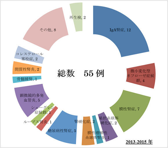 腎生検の内訳