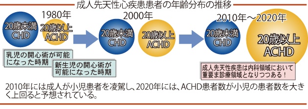 成人先天性心疾患患者の年齢分布の推移