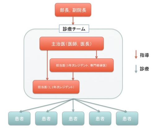 診療チーム図