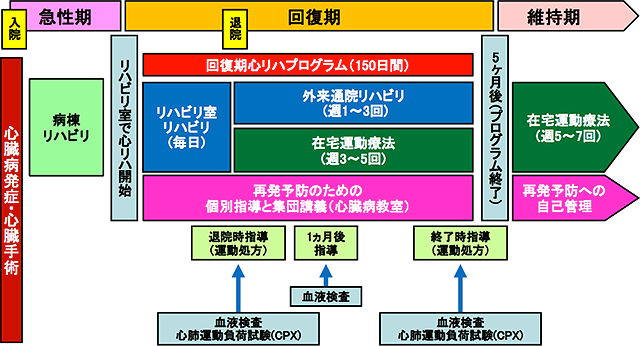 中央診療部門 - 心血管リハビリテーション科｜診療科・部門のご案内 