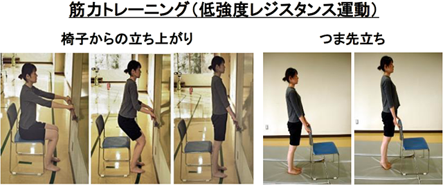 筋力トレーニング（低強度レジスタンス運動）