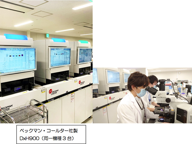 血液学的検査 写真