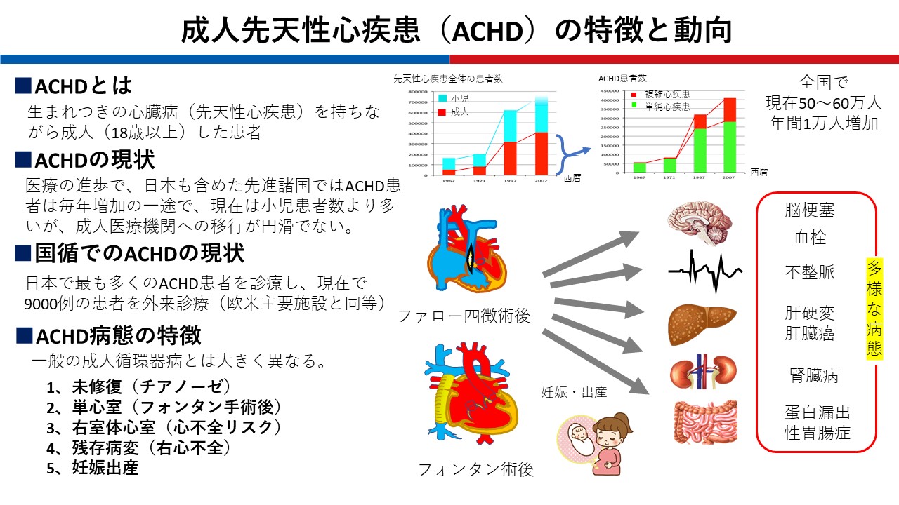 国立循環器病研究センター成人先天性心疾患　研修