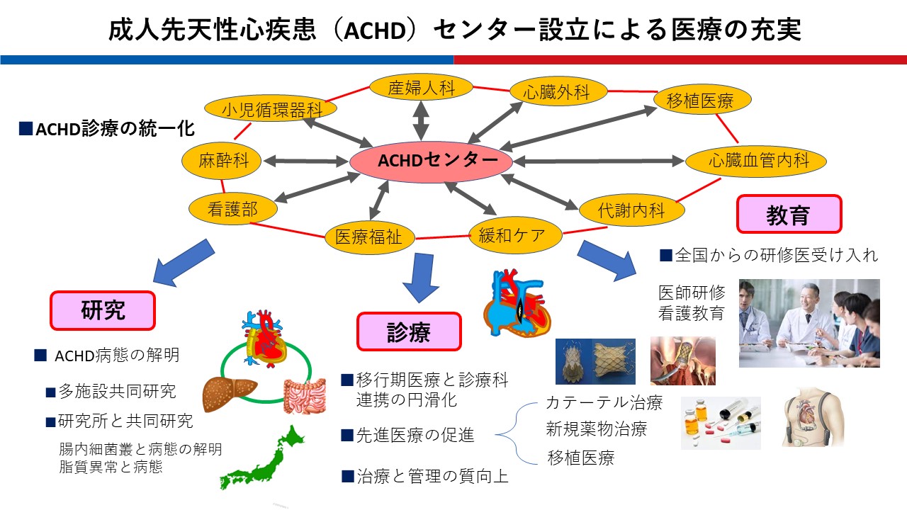 国立循環器病研究センター成人先天性心疾患　研修