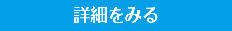 詳細をみる