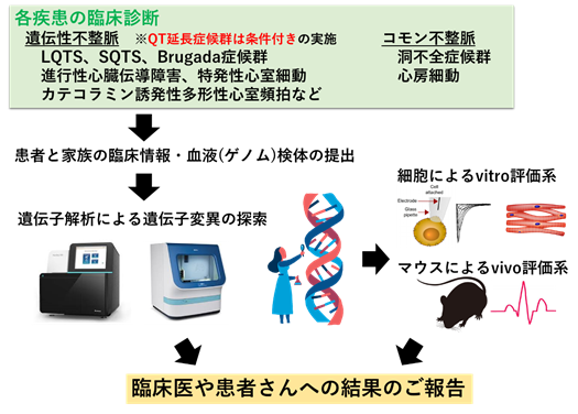 各疾患の臨床診断