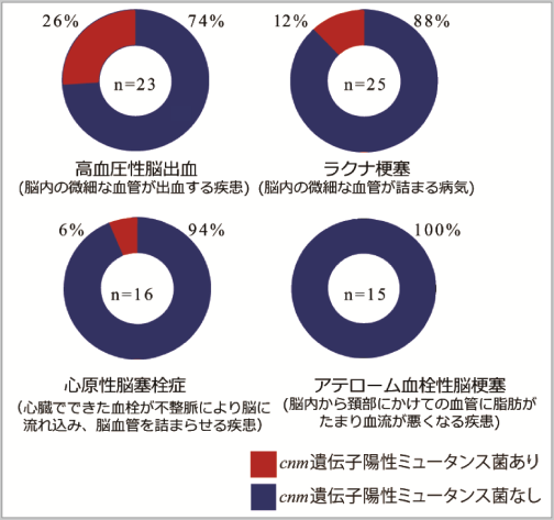 【図1】 cnm遺伝子陽性ミュータンス菌と脳卒中の病型