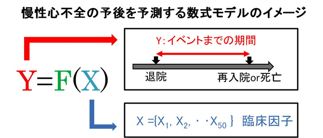 （図1）心不全患者の退院後予後を予測する数式モデルのイメージ