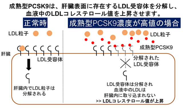 図1