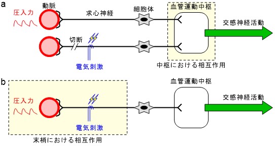 図4