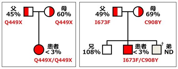 1-1-1）図：先天性血栓性血小板減少性紫斑病家系のADAMTS13遺伝子解析の例