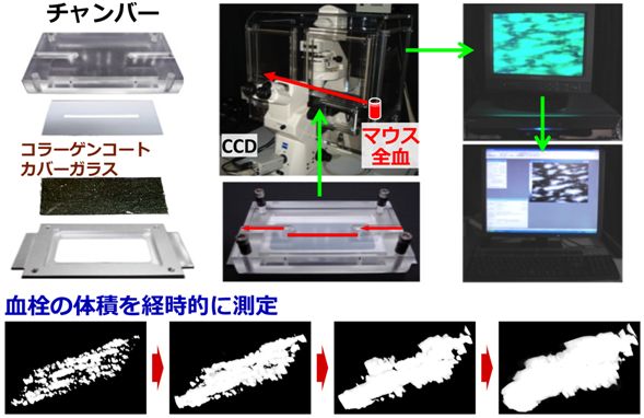 1-1-3）図：ずり応力下血小板血栓形成観察装置（平行板型フローチャンバーシステム）