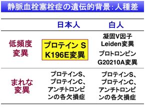 2）静脈血栓塞栓症の遺伝的背景：人種差