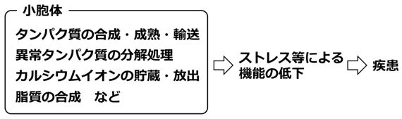 図：小胞体ストレスと疾患